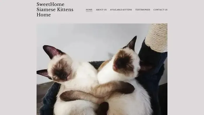 Screenshot of