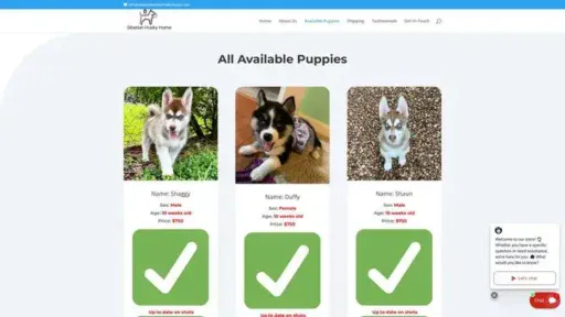 Screenshot of