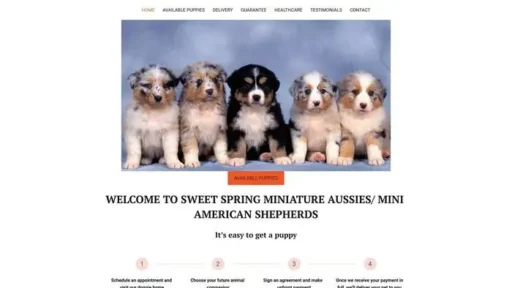 Screenshot of