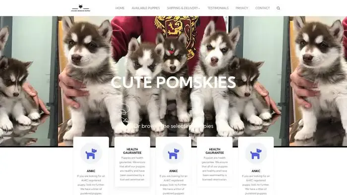 Screenshot of