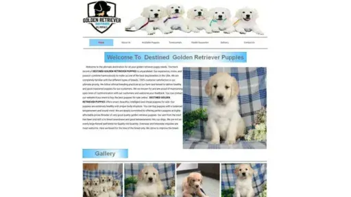 Screenshot of