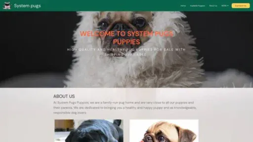 Screenshot of||