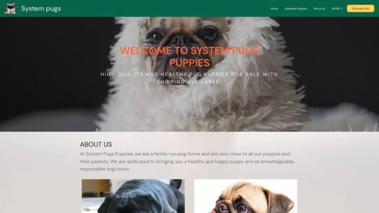 Systempugs
