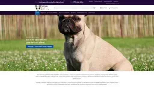 Screenshot of
