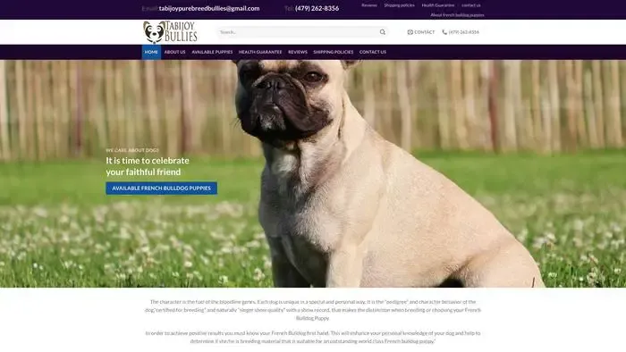 Screenshot of