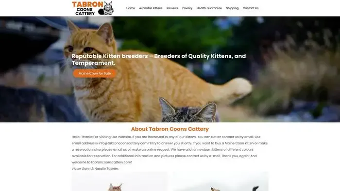 Screenshot of