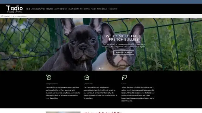 Screenshot of