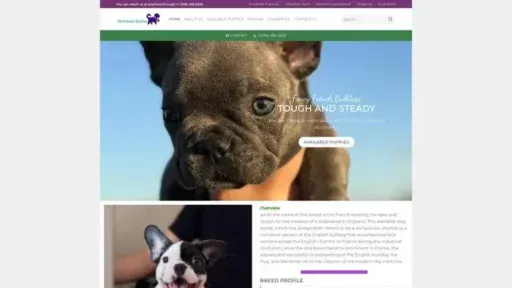 Screenshot of