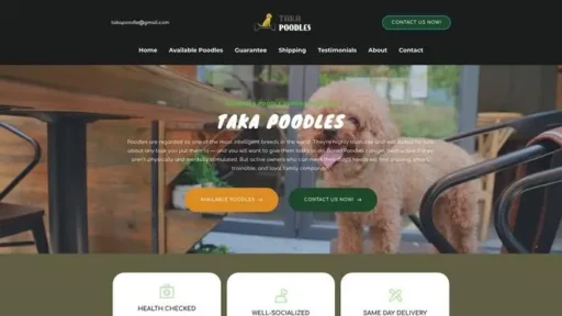 Screenshot of