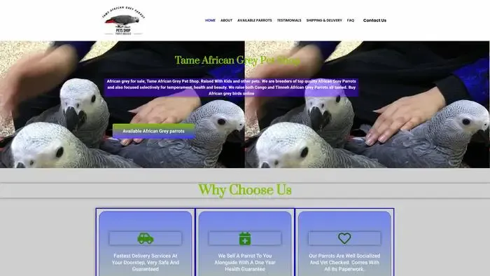 Screenshot of