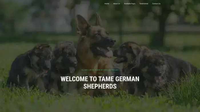 Screenshot of