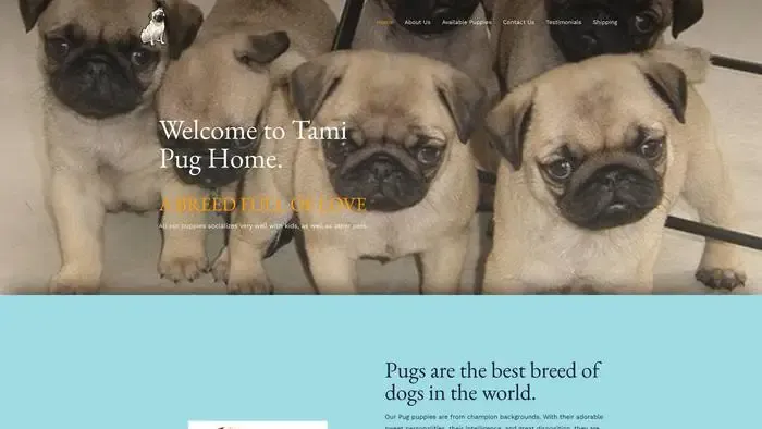 Screenshot of