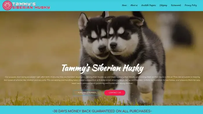 Screenshot of