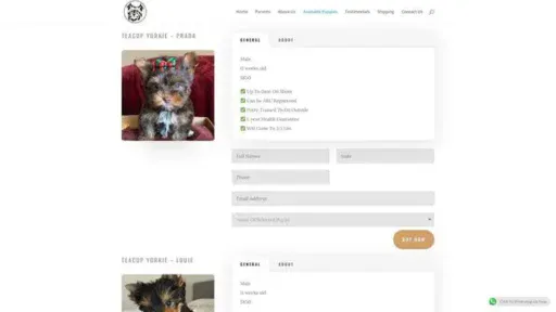 Screenshot of