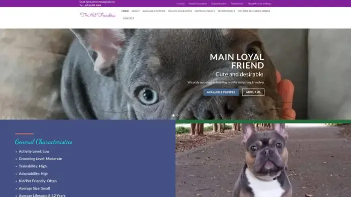 Screenshot of