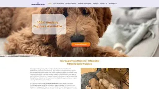 Screenshot of
