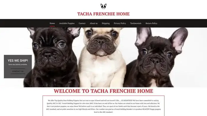 Screenshot of