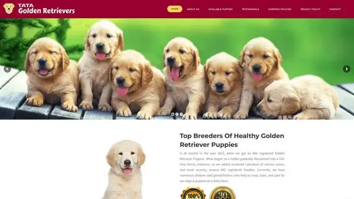 Screenshot of