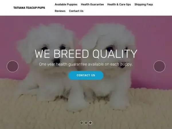 Screenshot of