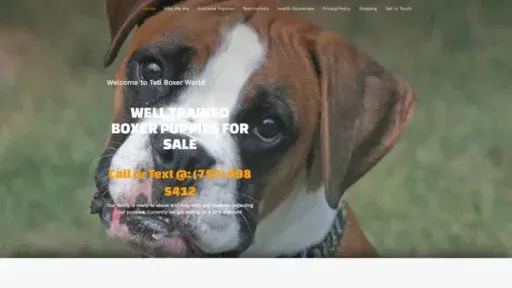 Screenshot of