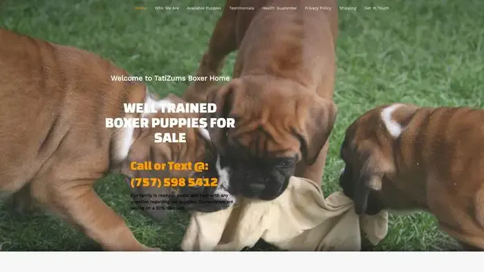 Screenshot of