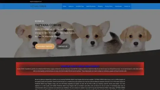 Screenshot of