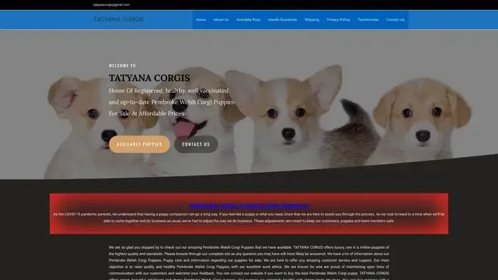 Screenshot of