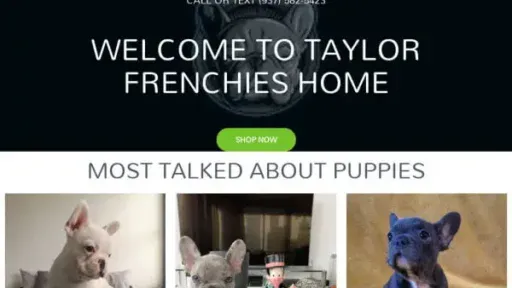 Screenshot of