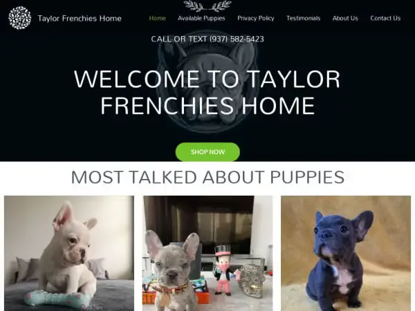Screenshot of