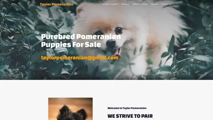 Screenshot of