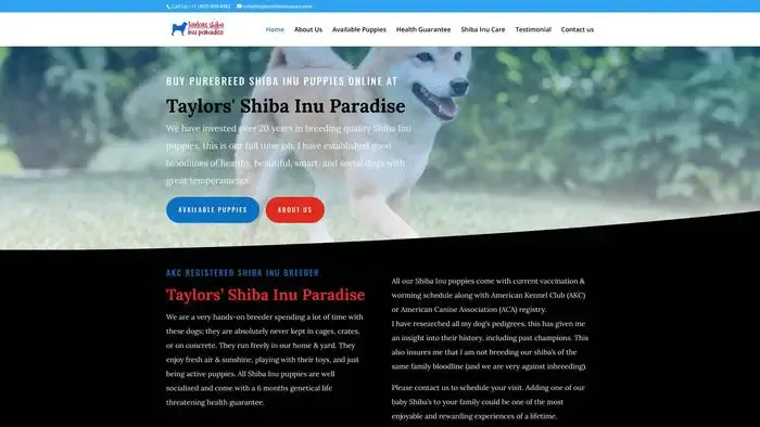 Screenshot of