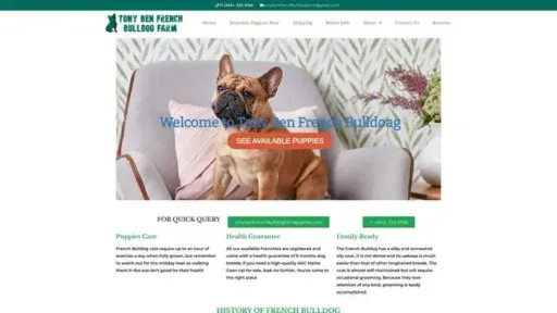 Screenshot of