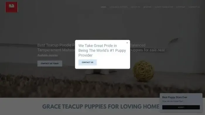 Screenshot of