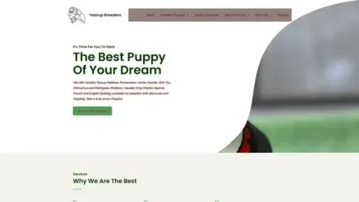Screenshot of