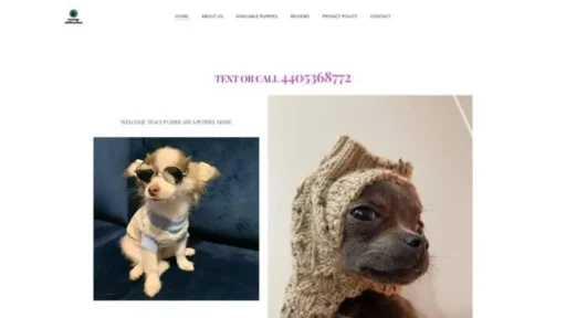Screenshot of||