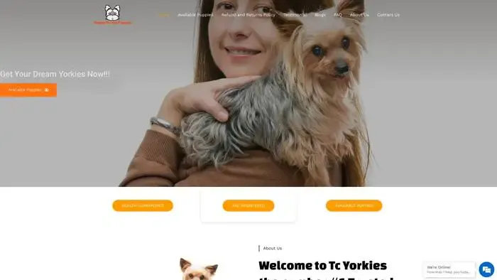 Screenshot of