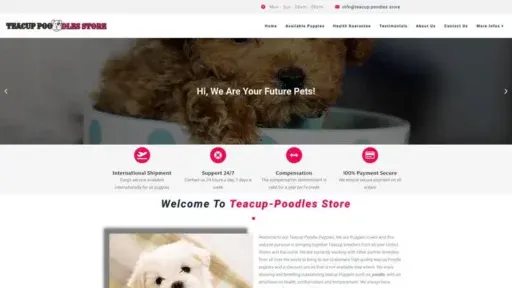 Screenshot of