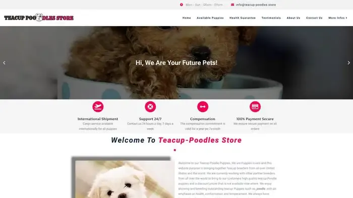 Screenshot of