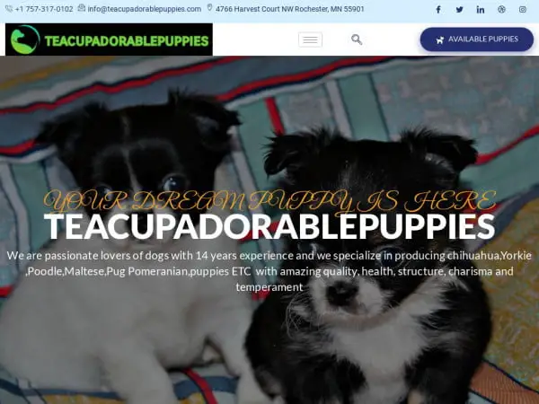 Screenshot of