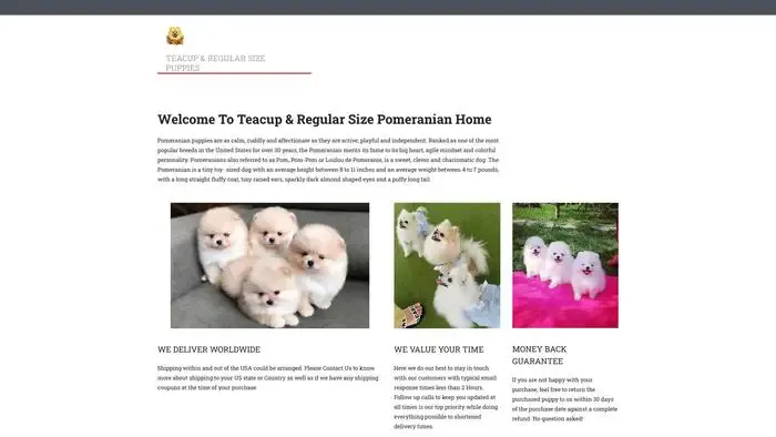 Screenshot of