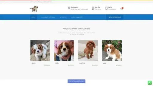 Screenshot of