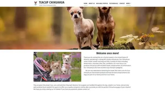 Screenshot of