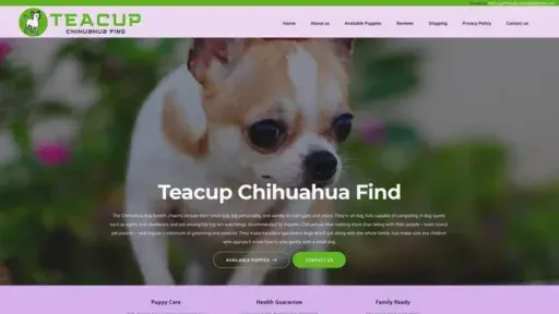 Screenshot of