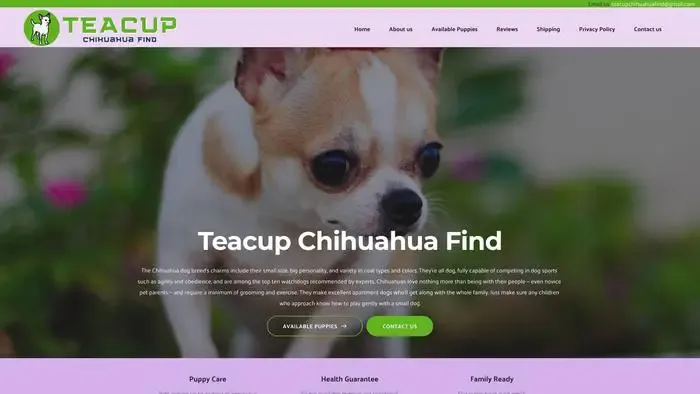 Screenshot of