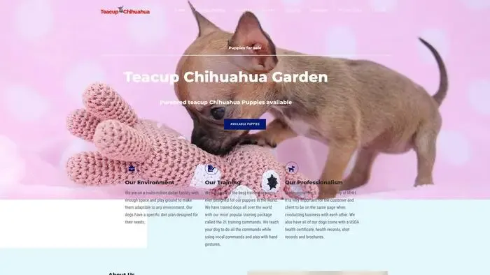Screenshot of
