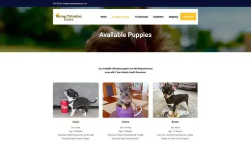 Screenshot of