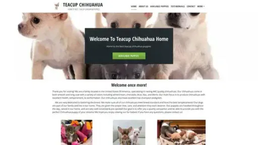Screenshot of