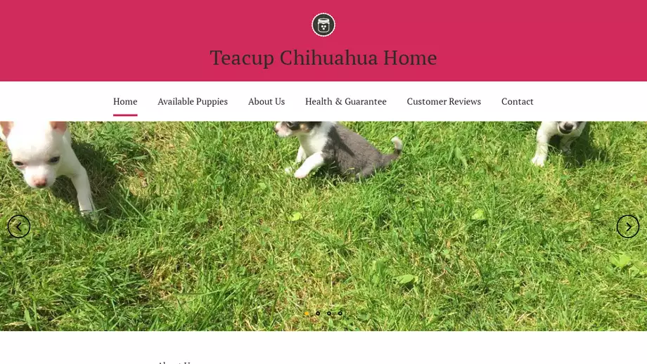 Screenshot of
