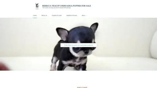 Screenshot of