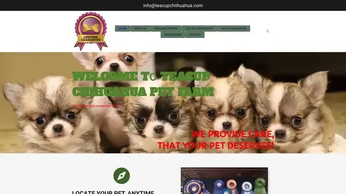 Screenshot of
